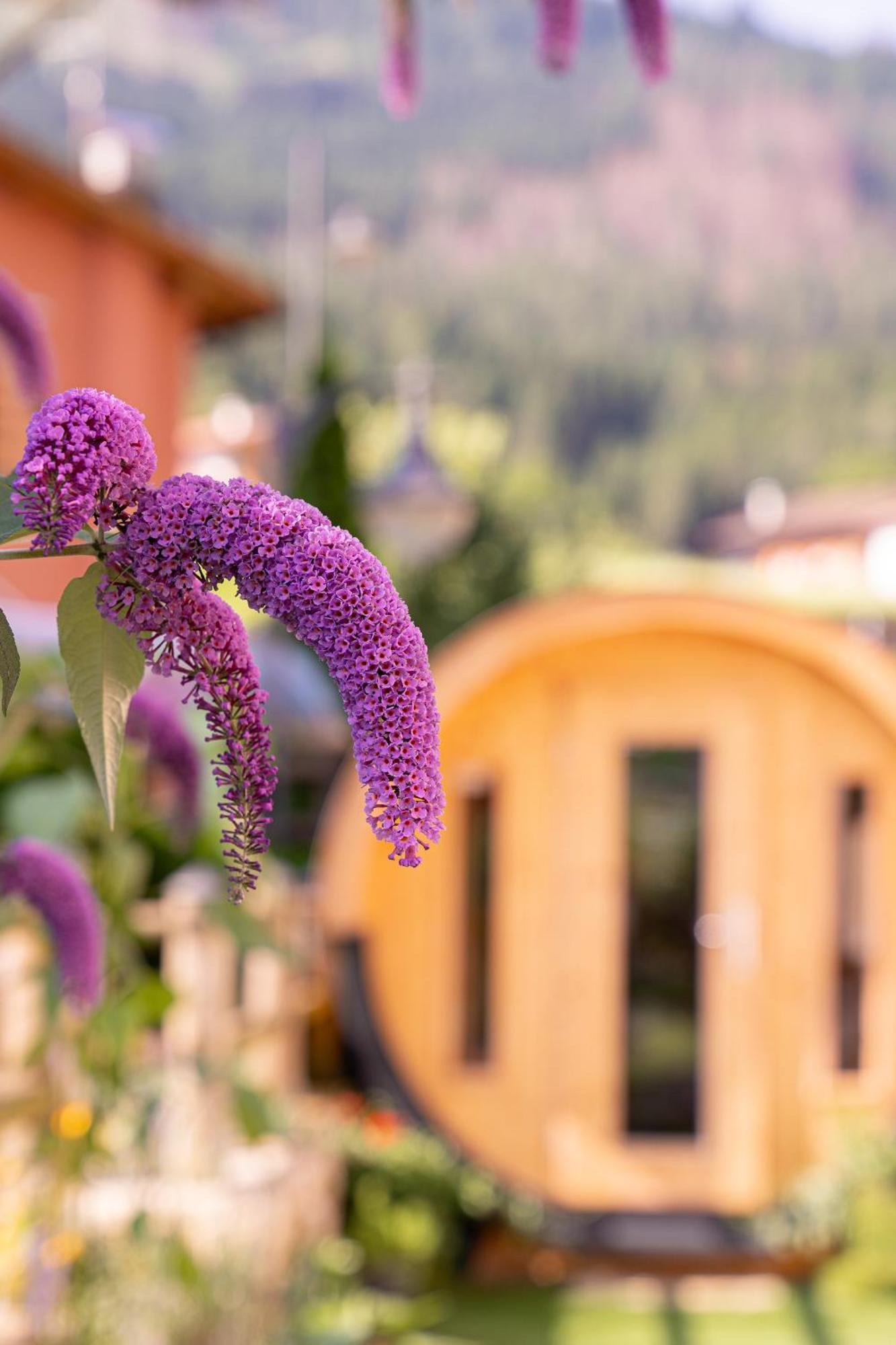 Albergo Negritella Ziano di Fiemme Exteriér fotografie